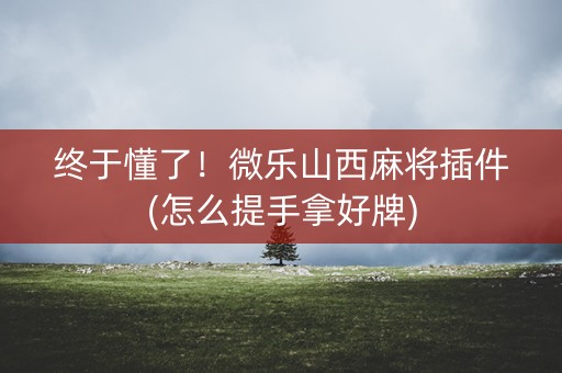 终于懂了！微乐山西麻将插件(怎么提手拿好牌)