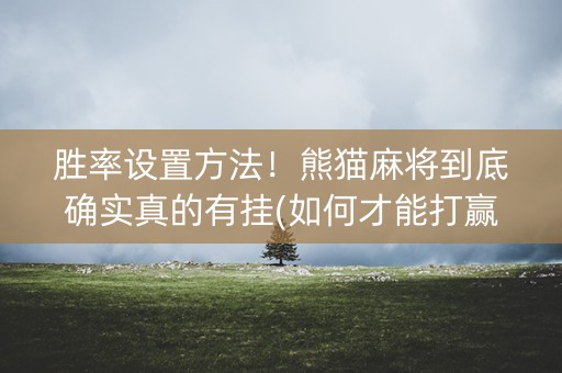 胜率设置方法！熊猫麻将到底确实真的有挂(如何才能打赢)