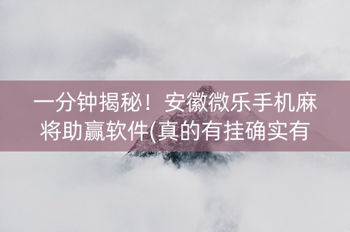 一分钟揭秘！安徽微乐手机麻将助赢软件(真的有挂确实有挂)
