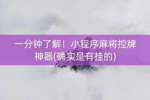 一分钟了解！小程序麻将控牌神器(确实是有挂的)