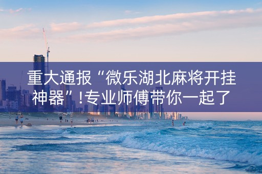 重大通报“微乐湖北麻将开挂神器”!专业师傅带你一起了解（详细教程）-抖音