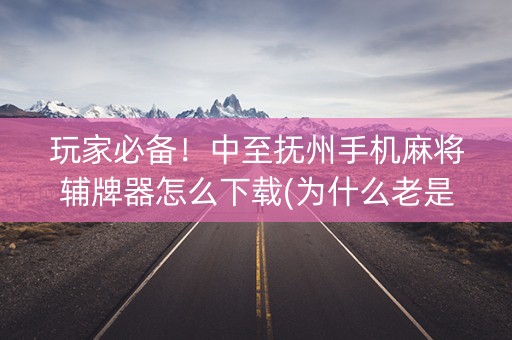 玩家必备！中至抚州手机麻将辅牌器怎么下载(为什么老是输)