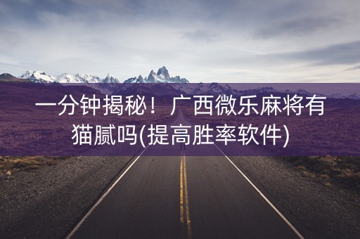 一分钟揭秘！广西微乐麻将有猫腻吗(提高胜率软件)