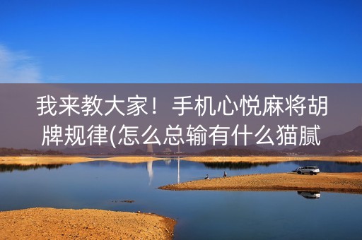 我来教大家！手机心悦麻将胡牌规律(怎么总输有什么猫腻)