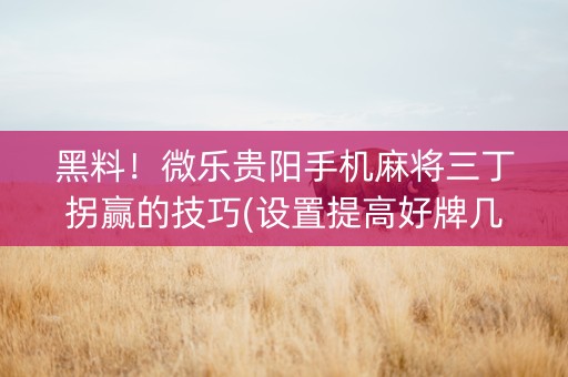 黑料！微乐贵阳手机麻将三丁拐赢的技巧(设置提高好牌几率)