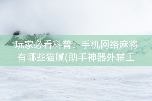 玩家必看科普！手机网络麻将有哪些猫腻(助手神器外辅工具)