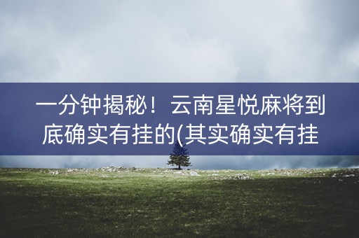 一分钟揭秘！云南星悦麻将到底确实有挂的(其实确实有挂)