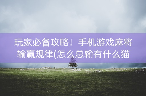 玩家必备攻略！手机游戏麻将输赢规律(怎么总输有什么猫腻)