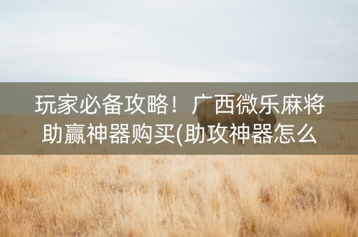 玩家必备攻略！广西微乐麻将助赢神器购买(助攻神器怎么才会赢)