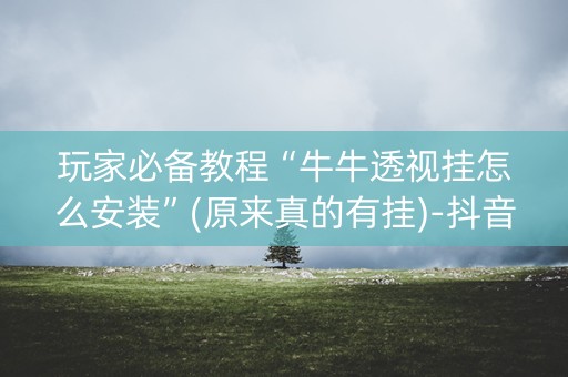 玩家必备教程“牛牛透视挂怎么安装”(原来真的有挂)-抖音