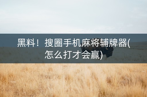 黑料！搜圈手机麻将辅牌器(怎么打才会赢)