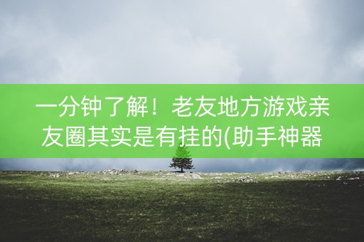 一分钟了解！老友地方游戏亲友圈其实是有挂的(助手神器外辅工具)