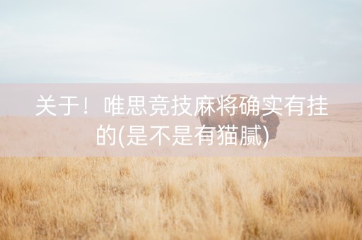 关于！唯思竞技麻将确实有挂的(是不是有猫腻)