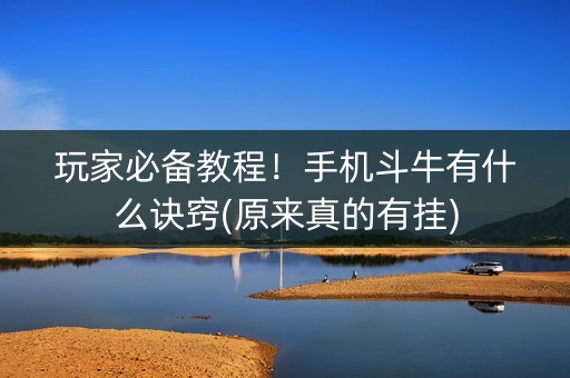 玩家必备教程！手机斗牛有什么诀窍(原来真的有挂)
