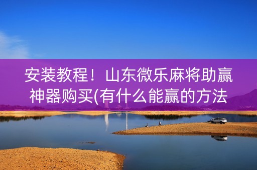 安装教程！山东微乐麻将助赢神器购买(有什么能赢的方法)