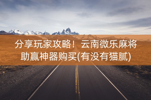 分享玩家攻略！云南微乐麻将助赢神器购买(有没有猫腻)