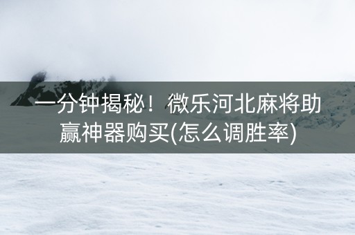 一分钟揭秘！微乐河北麻将助赢神器购买(怎么调胜率)