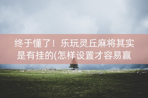终于懂了！乐玩灵丘麻将其实是有挂的(怎样设置才容易赢)