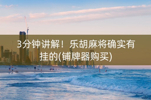 3分钟讲解！乐胡麻将确实有挂的(铺牌器购买)