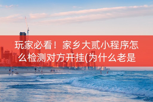 玩家必看！家乡大贰小程序怎么检测对方开挂(为什么老是输呢)