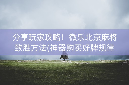 分享玩家攻略！微乐北京麻将致胜方法(神器购买好牌规律)