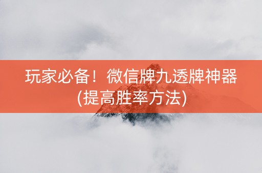 玩家必备！微信牌九透牌神器(提高胜率方法)