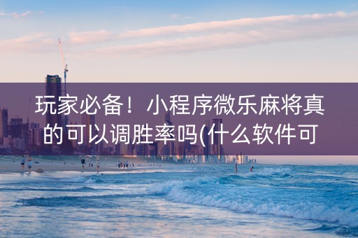 玩家必备！小程序微乐麻将真的可以调胜率吗(什么软件可以赢)