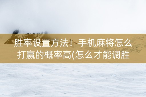 胜率设置方法！手机麻将怎么打赢的概率高(怎么才能调胜率)