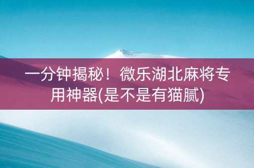 一分钟揭秘！微乐湖北麻将专用神器(是不是有猫腻)