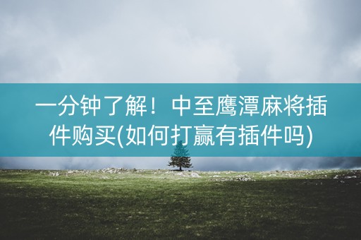一分钟了解！中至鹰潭麻将插件购买(如何打赢有插件吗)