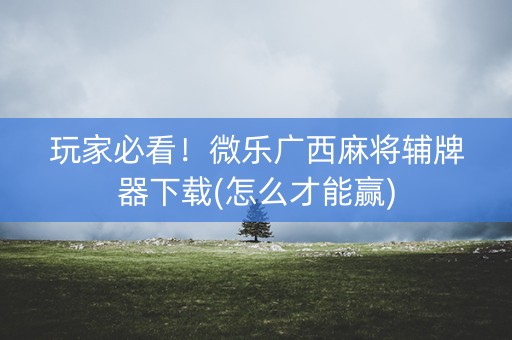 玩家必看！微乐广西麻将辅牌器下载(怎么才能赢)