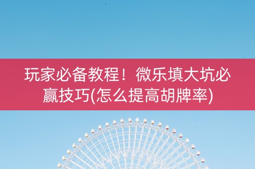 玩家必备教程！微乐填大坑必赢技巧(怎么提高胡牌率)