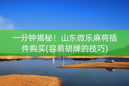 一分钟揭秘！山东微乐麻将插件购买(容易胡牌的技巧)