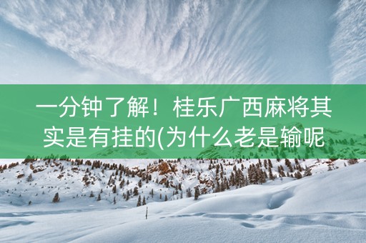 一分钟了解！桂乐广西麻将其实是有挂的(为什么老是输呢)