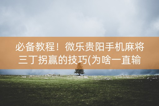必备教程！微乐贵阳手机麻将三丁拐赢的技巧(为啥一直输)