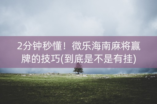 2分钟秒懂！微乐海南麻将赢牌的技巧(到底是不是有挂)