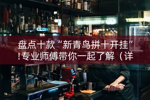 盘点十款“新青鸟拼十开挂”!专业师傅带你一起了解（详细教程）-抖音