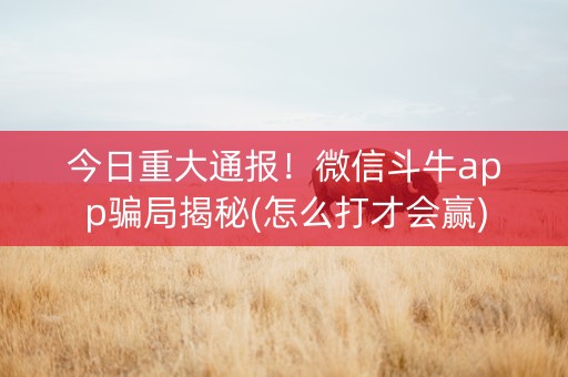今日重大通报！微信斗牛app骗局揭秘(怎么打才会赢)