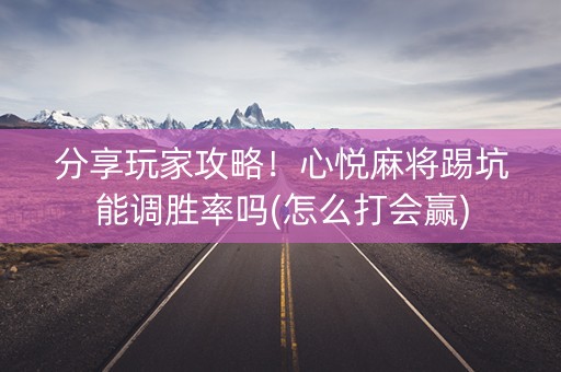 分享玩家攻略！心悦麻将踢坑能调胜率吗(怎么打会赢)