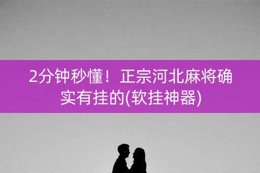 2分钟秒懂！正宗河北麻将确实有挂的(软挂神器)