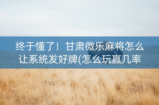 终于懂了！甘肃微乐麻将怎么让系统发好牌(怎么玩赢几率大)