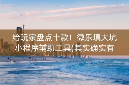 给玩家盘点十款！微乐填大坑小程序辅助工具(其实确实有挂)