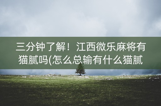 三分钟了解！江西微乐麻将有猫腻吗(怎么总输有什么猫腻)