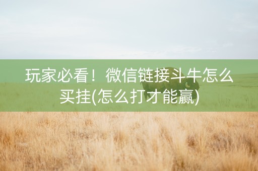 玩家必看！微信链接斗牛怎么买挂(怎么打才能赢)