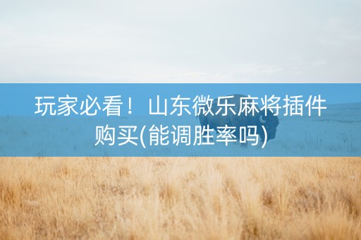 玩家必看！山东微乐麻将插件购买(能调胜率吗)