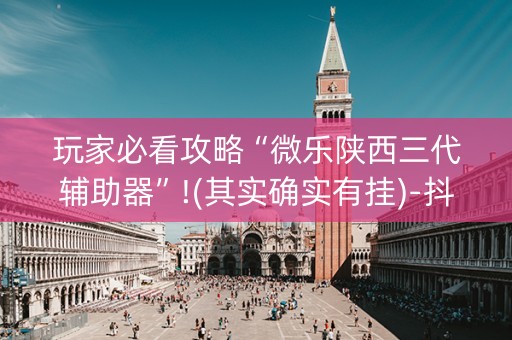 玩家必看攻略“微乐陕西三代辅助器”!(其实确实有挂)-抖音