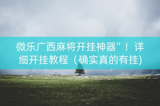 微乐广西麻将开挂神器”！详细开挂教程（确实真的有挂)-抖音