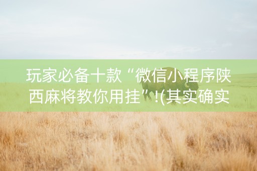 玩家必备十款“微信小程序陕西麻将教你用挂”!(其实确实有挂)-抖音
