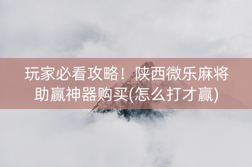 玩家必看攻略！陕西微乐麻将助赢神器购买(怎么打才赢)