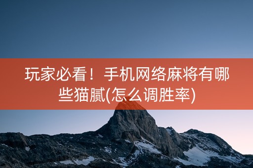 玩家必看！手机网络麻将有哪些猫腻(怎么调胜率)